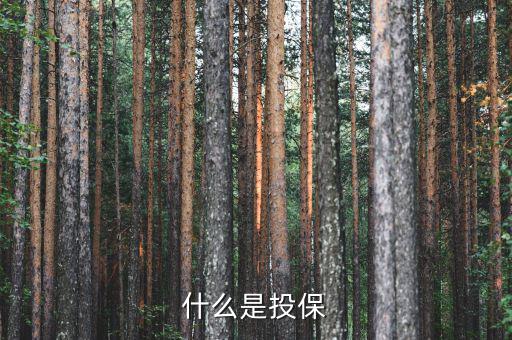 什么是投保，什么是銀行投保
