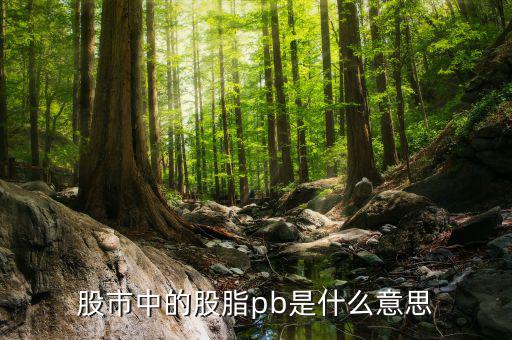 股票中pb是什么意思，股市中的股脂pb是什么意思