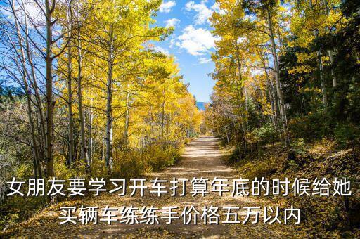 600635后面的符號是什么意思，女朋友要學(xué)習(xí)開車打算年底的時候給她買輛車練練手價格五萬以內(nèi)