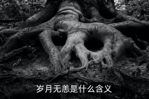 aapl是什么意思，PRQ是什么意思