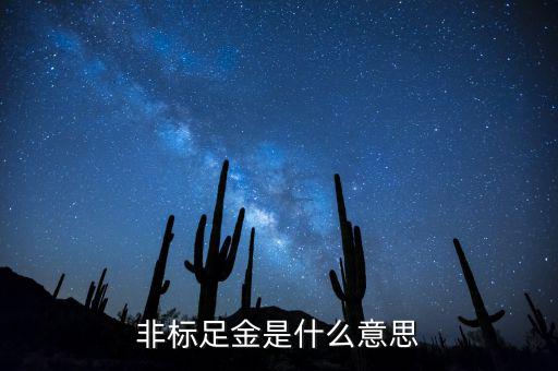 什么是金融非標產(chǎn)品，什么叫非標融資