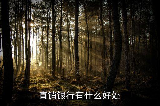 浦發(fā)直銷銀行能干什么，銀行直銷部是做什么的