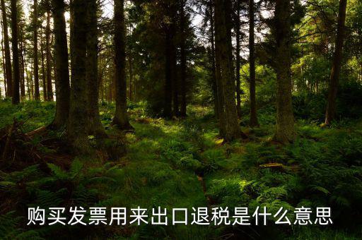 購(gòu)買發(fā)票用來(lái)出口退稅是什么意思