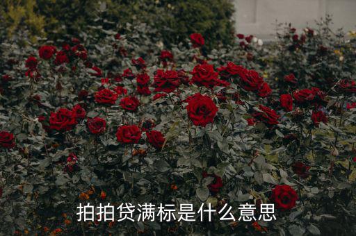 拍拍貸滿標是什么意思