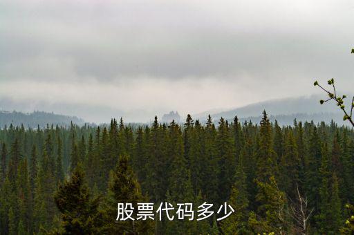 b股代碼以什么開頭，a股和b股代碼怎樣區(qū)分