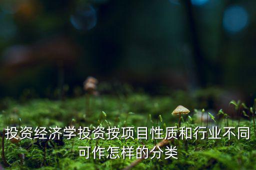 什么是公共消費(fèi)性投資，如何理解消費(fèi)投資