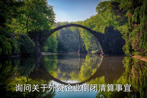 沈陽投資公司跑路市政府什么解決，詢問關(guān)于外資企業(yè)倒閉清算事宜