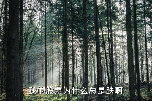 捷城股份為什么一直跌，有被捷成投資騙的人嗎咱們一起去告他