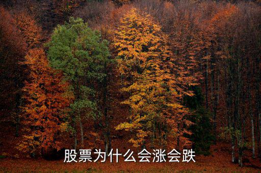 股票為什么會(huì)上漲下跌，股票為什么會(huì)漲會(huì)跌啊