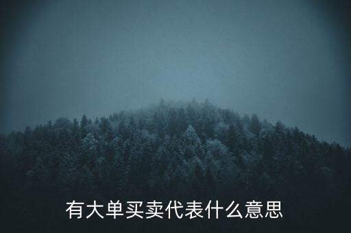 在買5成交有大單是什么意思，股票中大單是什么意思