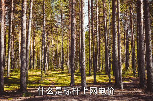 什么是標(biāo)桿電價，什么是標(biāo)桿上網(wǎng)電價