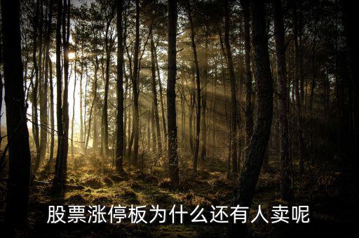 為什么已經(jīng)漲停的股票那么多人買，當(dāng)天漲停的股票為什么還有那么多人買入跟進(jìn)呢