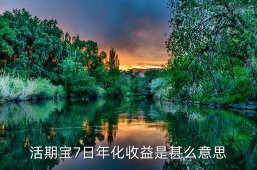 活期寶七日年化是什么意思，活期寶7日年化收益是甚么意思