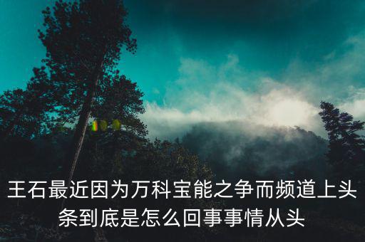 王石現(xiàn)在忙什么，王石現(xiàn)在在干什么