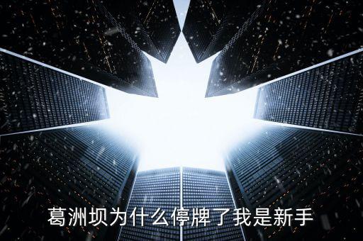 葛洲壩為什么停牌，葛洲壩為什么8月21日停牌