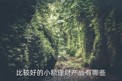有什么小額理財(cái)產(chǎn)品，小額理財(cái)投資產(chǎn)品有哪些