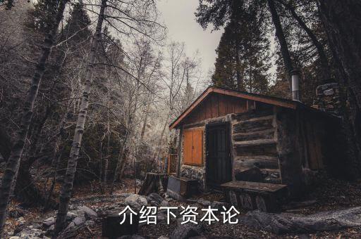 資本論是什么發(fā)表的，資本論 是馬克思寫的不