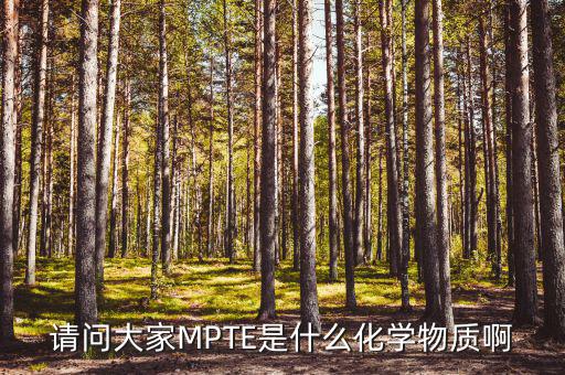 汽油的mpte是什么，汽油里MPTE是什么
