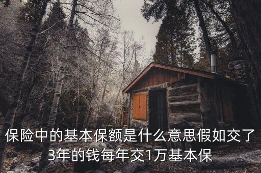 基本保額是什么意思，基本保險(xiǎn)金額是什么意思