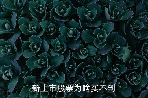 為什么新股我總買不到，新上市股票為啥買不到