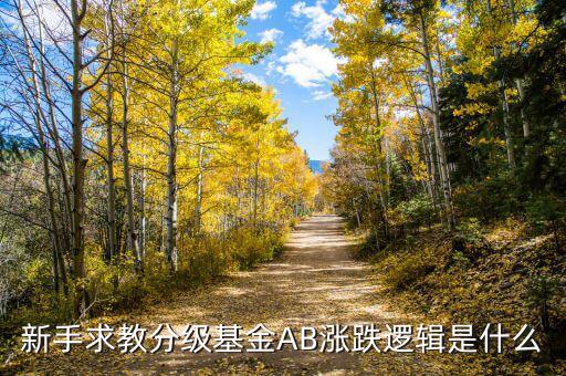 b級基金根據(jù)什么上升，基金是依靠什么數(shù)據(jù)上漲的