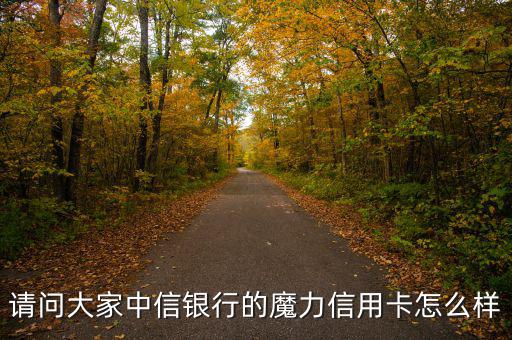中信魔力白金卡什么樣，中信白金魔力信用卡到底是精英卡還是尊尚卡還是其它