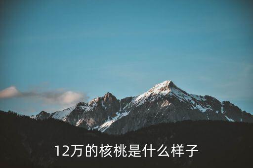 36萬核桃長什么樣，大家看這個核桃做的怎樣值多少