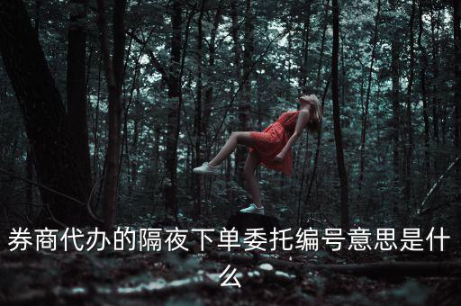 股票委托編號是什么意思，股票交易中委托編號208中208是什么意思