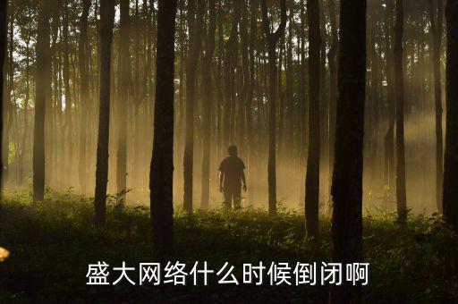 美國(guó)盛大游戲什么時(shí)間退市，盛大倒閉確切日期