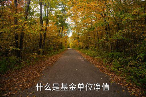 基金中什么是單位凈值，什么是基金單位凈值
