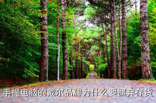 戴爾用信息代替庫(kù)存的后果是什么，我的筆記本電腦是DELL的前幾天買(mǎi)的人家二手貨他把系統(tǒng)的信