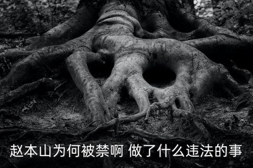 趙本山作品為什么禁播，趙本山的小品怎么也不讓播了