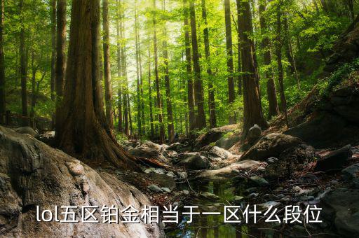 鉑金三什么水平，鉑金純度有幾個(gè)檔次