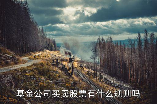 基金持有上市公司股票有什么限制嗎，基金公司買賣股票有什么規(guī)則嗎