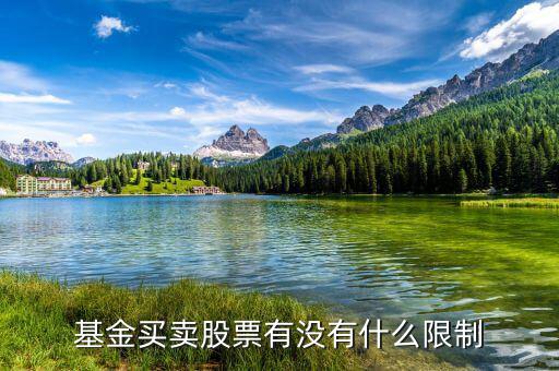 基金買賣股票有沒(méi)有什么限制