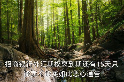 為什么不能購(gòu)買(mǎi)招商銀行期權(quán)，招商銀行外匯期權(quán)怎么了獲利200點(diǎn)還賠錢(qián)
