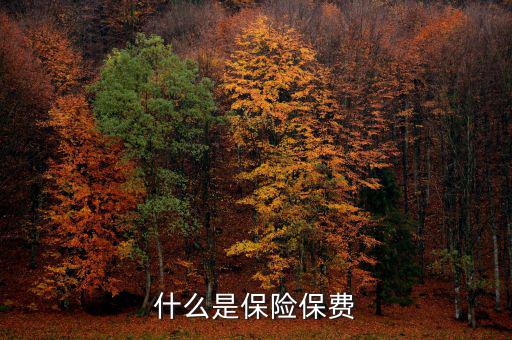 什么是保單保費(fèi)，什么是保險(xiǎn)保費(fèi)