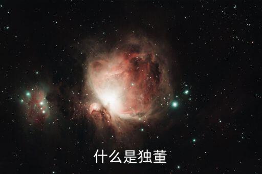 為什么董建華獨(dú)董，我國上市公司的獨(dú)立董事的來源主要有哪些