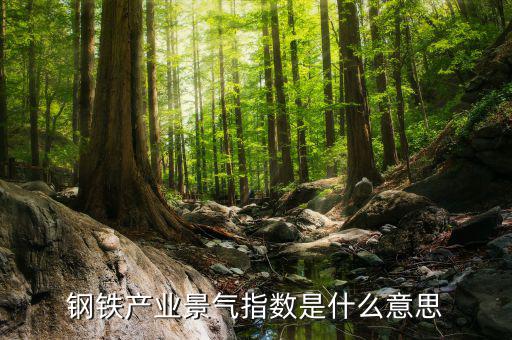 景氣度是什么意思，鋼鐵產(chǎn)業(yè)景氣指數(shù)是什么意思