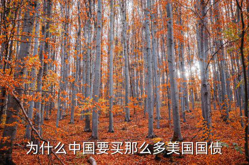 為什么要買美國國債，為什么要買那么多美國國債
