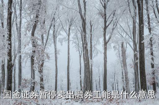 暫停融券是什么意思，國(guó)金證券暫停賣(mài)出融券工能是什么意思