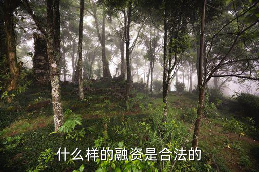 什么是合法的融資，什么是合法融資