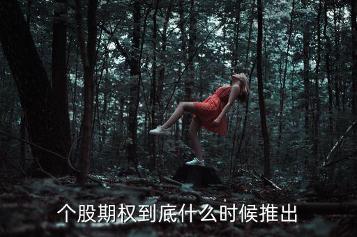 什么時(shí)候推出個(gè)股期權(quán)，股票期權(quán)什么時(shí)間開始