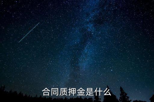 質押金是什么，期貨中的質押金是什么意思