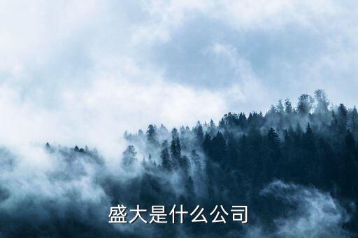 盛大集團是經(jīng)營什么，盛大是什么公司