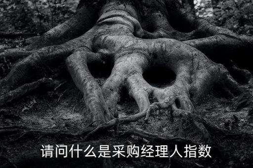 采購(gòu)經(jīng)理人指數(shù)是什么，IVEY采購(gòu)經(jīng)理人指數(shù)指的是什么