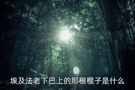 埃及法老的胡子叫什么，胡扶是埃及的第幾代法老