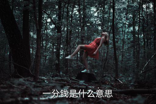 支付寶錢包一分錢是什么意思，一分錢是什么意思