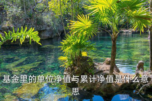 基金凈值和累計凈值是什么，基金里的單位凈值與累計凈值是什么意思