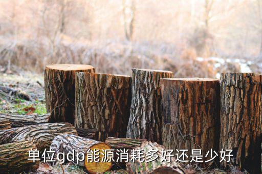 單位GDP越高說明什么，GDP代表著什么